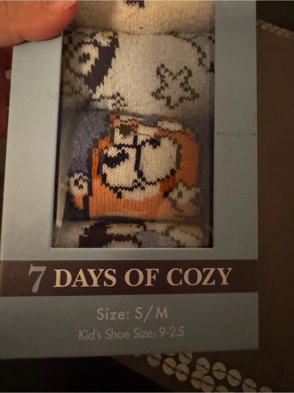 NWT kids cozy Bluey sock set- kids S/M 9-2.5